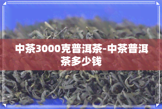 中茶3000克普洱茶-中茶普洱茶多少钱