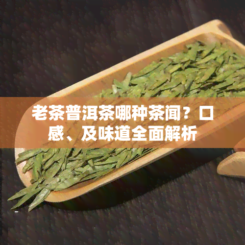 老茶普洱茶哪种茶闻？口感、及味道全面解析