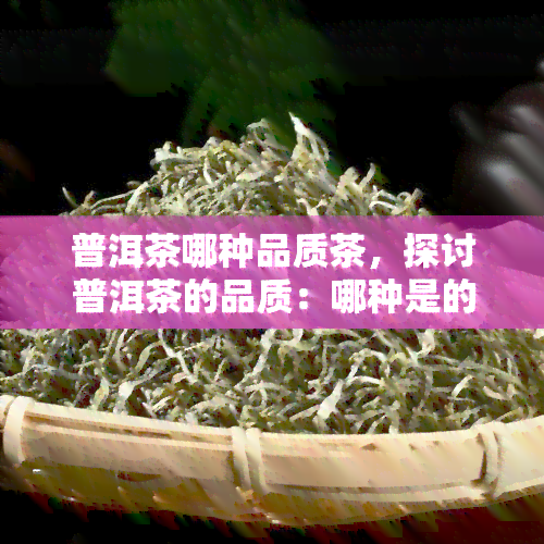 普洱茶哪种品质茶，探讨普洱茶的品质：哪种是的？