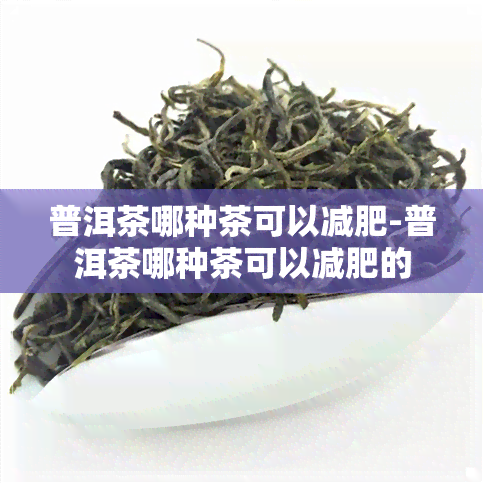 普洱茶哪种茶可以减肥-普洱茶哪种茶可以减肥的