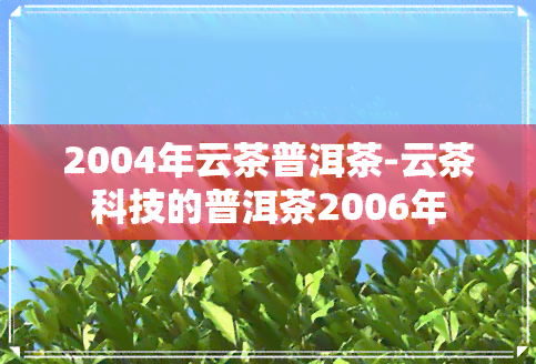 2004年云茶普洱茶-云茶科技的普洱茶2006年