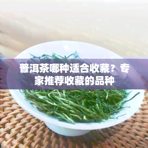 普洱茶哪种适合收藏？专家推荐收藏的品种