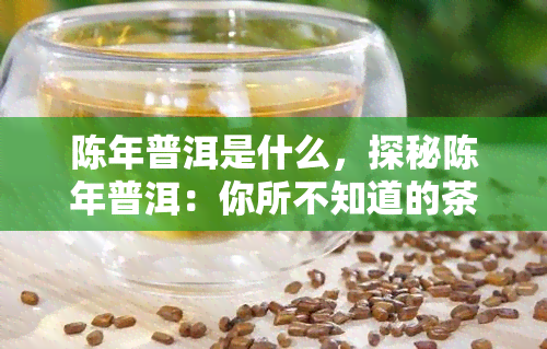 陈年普洱是什么，探秘陈年普洱：你所不知道的茶叶秘密