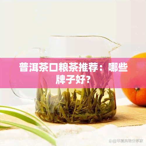 普洱茶口粮茶推荐：哪些牌子好？