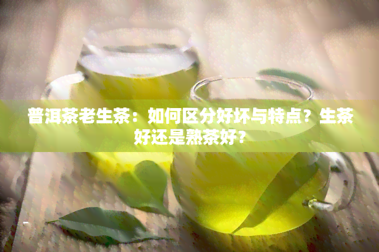 普洱茶老生茶：如何区分好坏与特点？生茶好还是熟茶好？