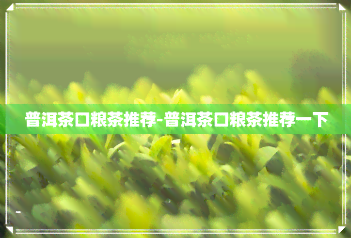 普洱茶口粮茶推荐-普洱茶口粮茶推荐一下