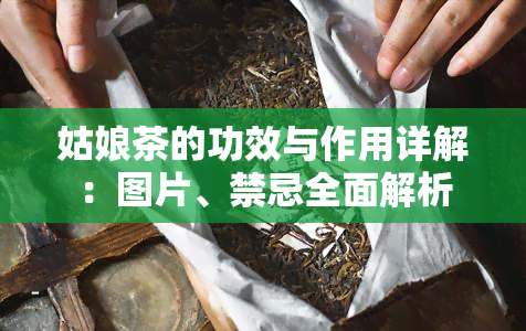 姑娘茶的功效与作用详解：图片、禁忌全面解析