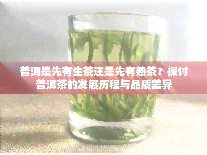 普洱是先有生茶还是先有熟茶？探讨普洱茶的发展历程与品质差异