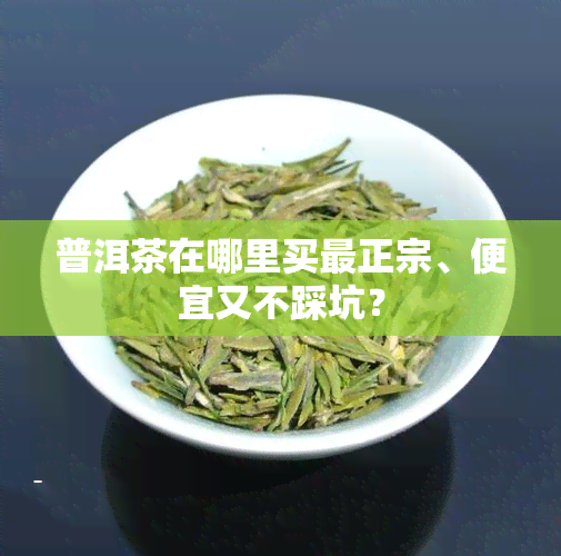 普洱茶在哪里买最正宗、便宜又不踩坑？