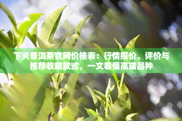 下关普洱茶官网价格表：行情报价、评价与推荐收藏款式，一文看懂高端品种