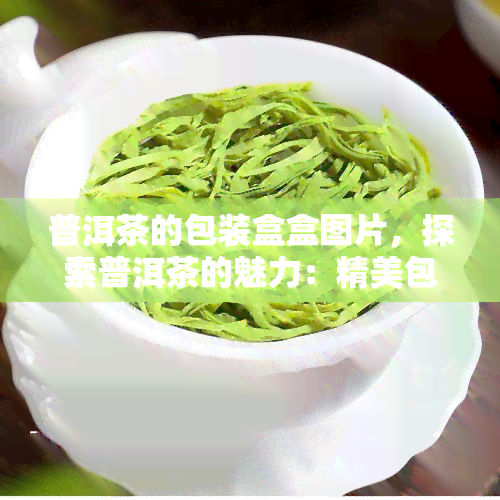 普洱茶的包装盒盒图片，探索普洱茶的魅力：精美包装盒图片欣