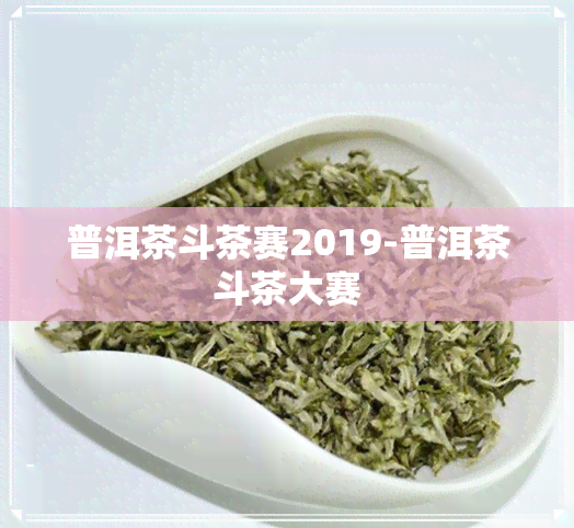 普洱茶斗茶赛2019-普洱茶斗茶大赛