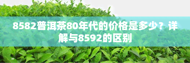 8582普洱茶80年代的价格是多少？详解与8592的区别