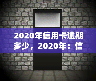 2020年信用卡逾期多少，2020年：信用卡逾期情况统计与分析