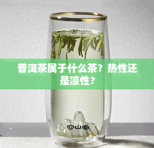 普洱茶属于什么茶？热性还是凉性？