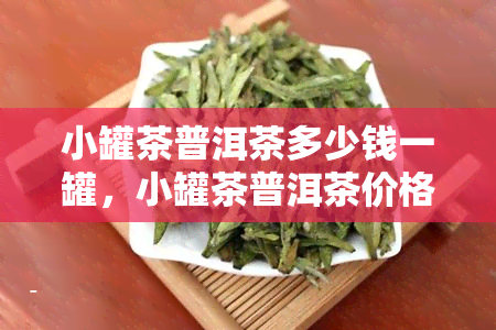 小罐茶普洱茶多少钱一罐，小罐茶普洱茶价格一览，一罐要多少钱？