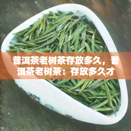 普洱茶老树茶存放多久，普洱茶老树茶：存放多久才能达到口感？