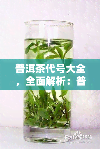 普洱茶代号大全，全面解析：普洱茶代号大全，让你轻松识别人气好茶！