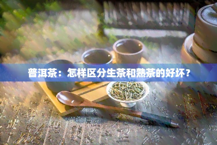 普洱茶：怎样区分生茶和熟茶的好坏？