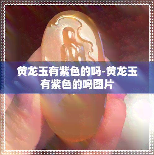 黄龙玉有紫色的吗-黄龙玉有紫色的吗图片