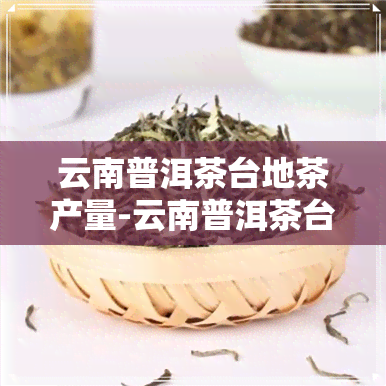 云南普洱茶台地茶产量-云南普洱茶台地茶产量多少