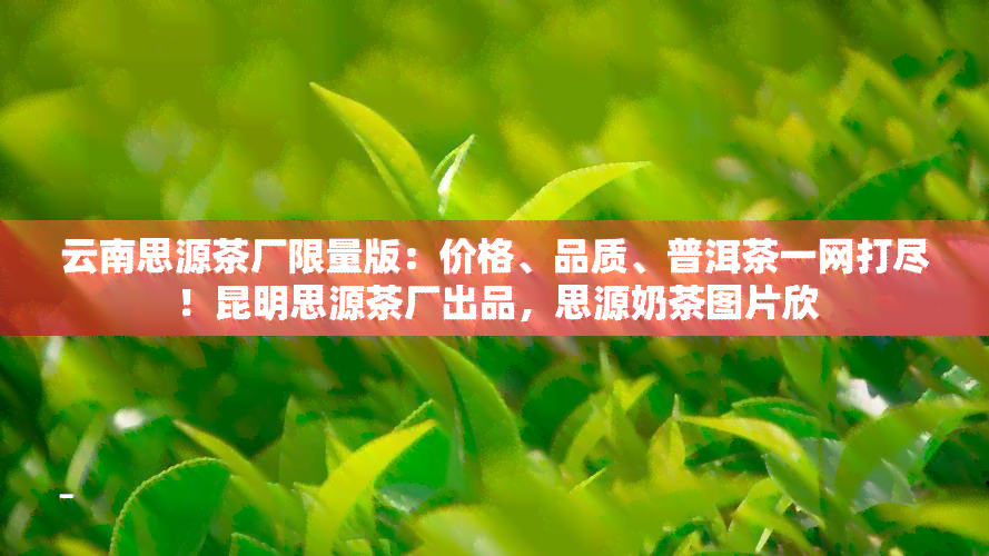 云南思源茶厂限量版：价格、品质、普洱茶一网打尽！昆明思源茶厂出品，思源奶茶图片欣