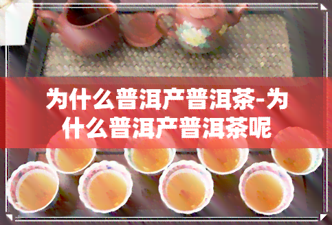 为什么普洱产普洱茶-为什么普洱产普洱茶呢