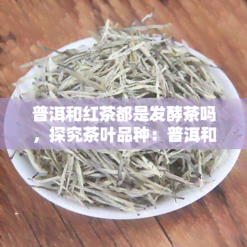 普洱和红茶都是发酵茶吗，探究茶叶品种：普洱和红茶是否都属于发酵茶？