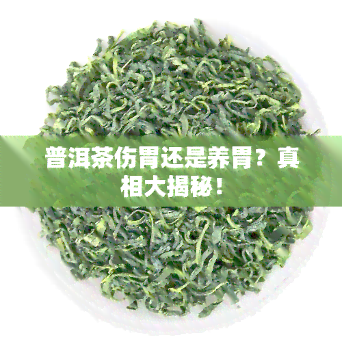 普洱茶伤胃还是养胃？真相大揭秘！