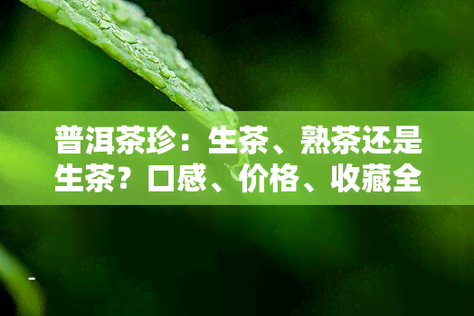 普洱茶珍：生茶、熟茶还是生茶？口感、价格、收藏全解析