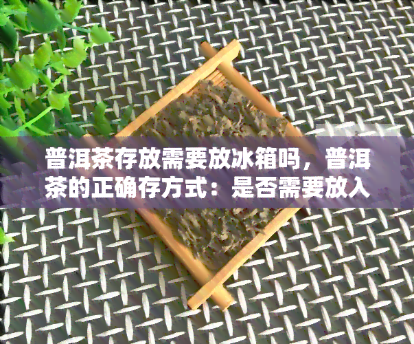 普洱茶存放需要放冰箱吗，普洱茶的正确存方式：是否需要放入冰箱？