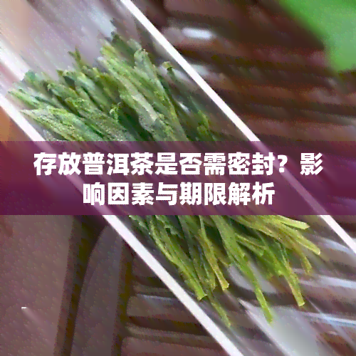 存放普洱茶是否需密封？影响因素与期限解析