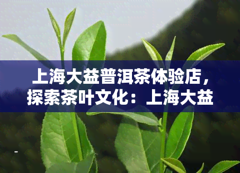 上海大益普洱茶体验店，探索茶叶文化：上海大益普洱茶体验店等你来品鉴！