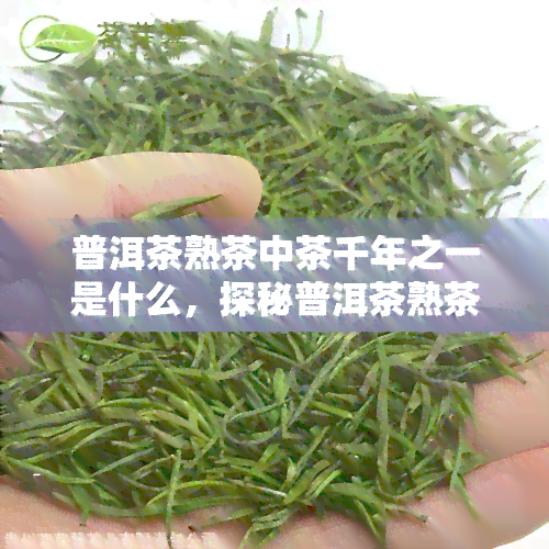 普洱茶熟茶中茶千年之一是什么，探秘普洱茶熟茶中的千年瑰宝——中茶千年之一