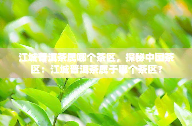 江城普洱茶属哪个茶区，探秘中国茶区：江城普洱茶属于哪个茶区？