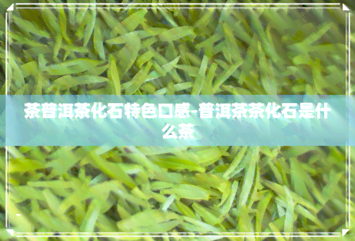 茶普洱茶化石特色口感-普洱茶茶化石是什么茶