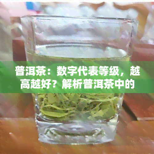 普洱茶：数字代表等级，越高越好？解析普洱茶中的数字含义