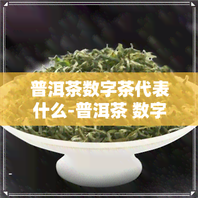 普洱茶数字茶代表什么-普洱茶 数字