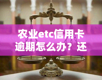 农业etc信用卡逾期怎么办？还款后能否继续使用？