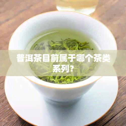 普洱茶目前属于哪个茶类系列？