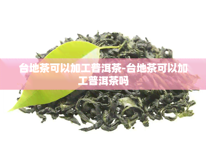 台地茶可以加工普洱茶-台地茶可以加工普洱茶吗