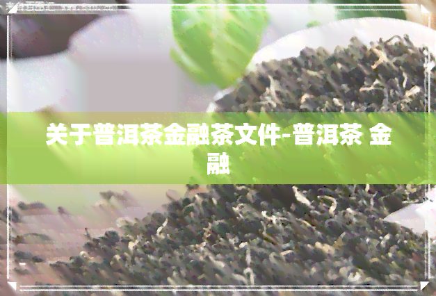 关于普洱茶金融茶文件-普洱茶 金融