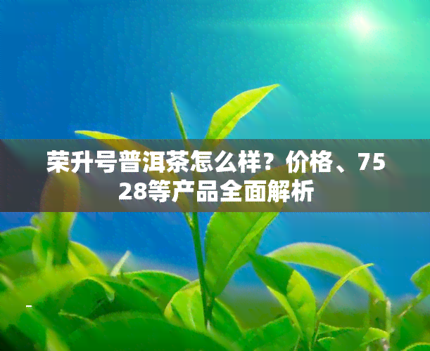 荣升号普洱茶怎么样？价格、7528等产品全面解析