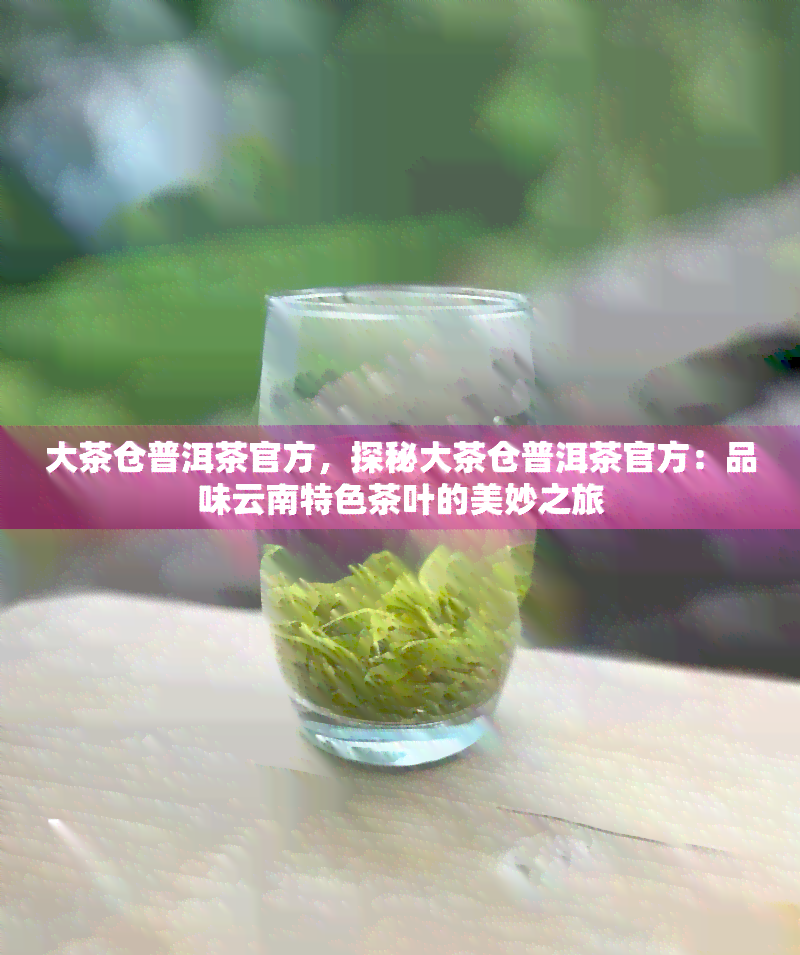 大茶仓普洱茶官方，探秘大茶仓普洱茶官方：品味云南特色茶叶的美妙之旅