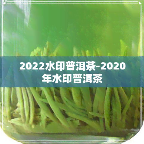 2022水印普洱茶-2020年水印普洱茶