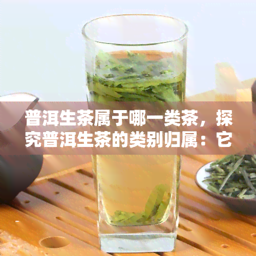 普洱生茶属于哪一类茶，探究普洱生茶的类别归属：它属于哪一类茶？