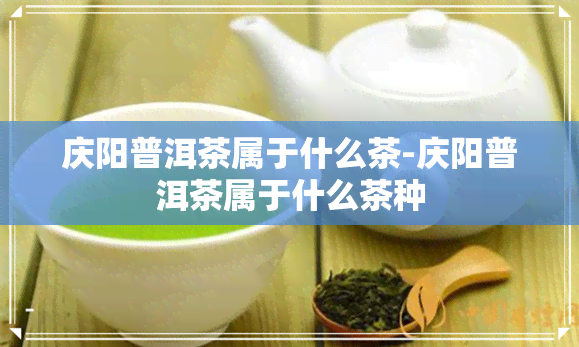 庆阳普洱茶属于什么茶-庆阳普洱茶属于什么茶种