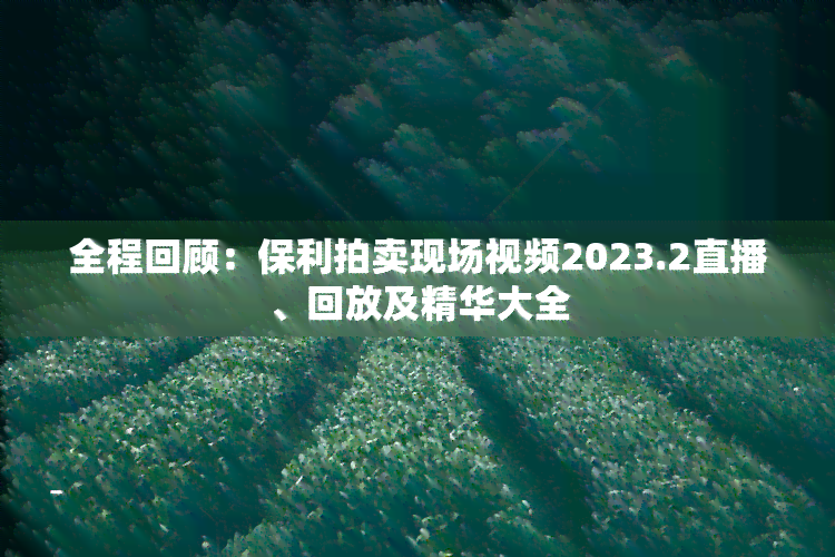 全程回顾：保利拍卖现场视频2023.2直播、回放及精华大全