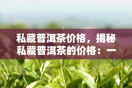 私藏普洱茶价格，揭秘私藏普洱茶的价格：一份详细的市场分析与建议