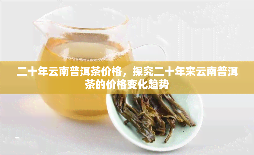 二十年云南普洱茶价格，探究二十年来云南普洱茶的价格变化趋势